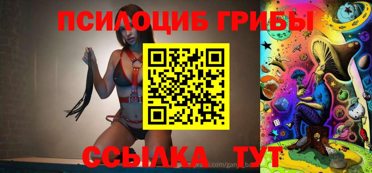 Псилоцибиновые грибы Psilocybe Нововоронеж
